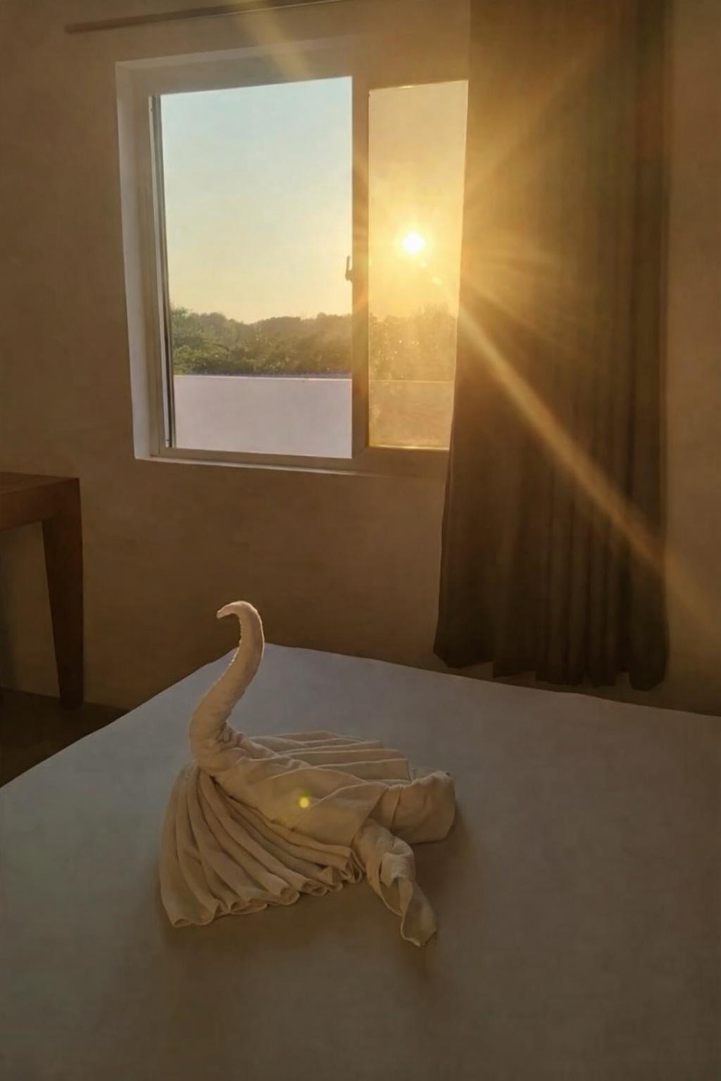 Golden hour seen through the room window at Hotel Tugatog